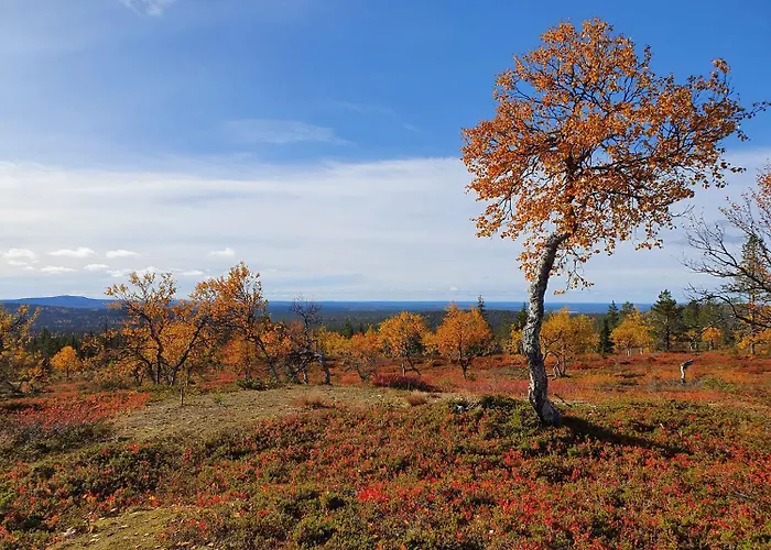 1508 Visit Lägenhet